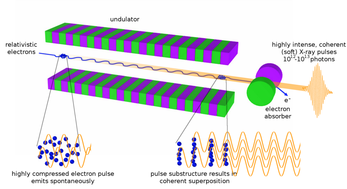 Enlarged view: Working principle of a Free-Electron Laser