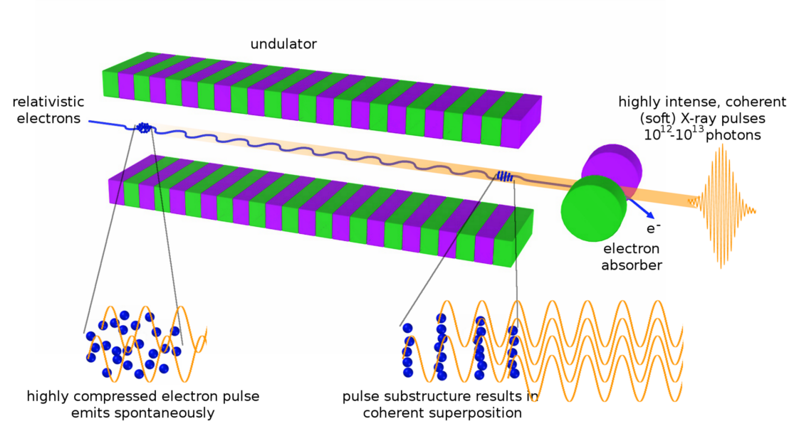 research on free electron lasers